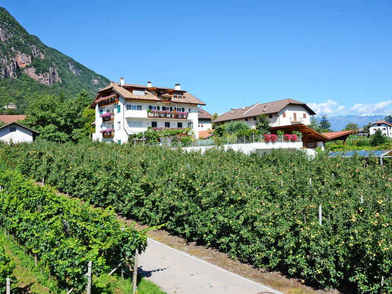 Maison / Résidence de vacances|Rosengartenhof|Haut-Adige/Sud-Tyrol|Andriano