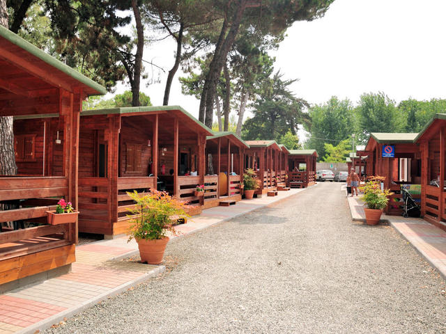 Haus/Residenz|Camping Campeggio Italia (MAS371)|Versilia, Lunigiana und Umgebung|Marina di Massa