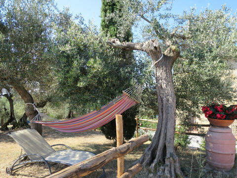 Talo/taloryhmä|La Collina Fiorita|Trasimeno järvi|Lago Trasimeno