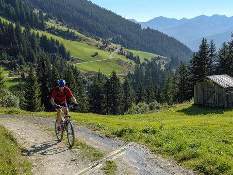 L'abitazione|CGH Rés&Spa Les Fermes de Ste Foy|Savoia - Alta Savoia|Sainte Foy Tarentaise