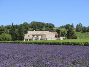 Haus/Residenz|La Machotte|Provence|Visan