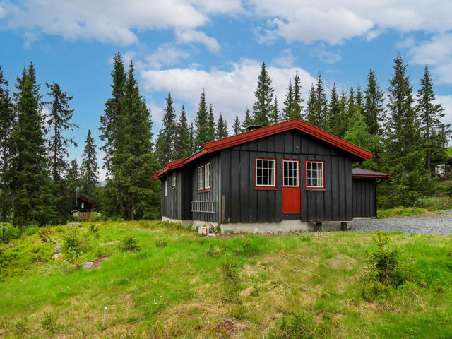 House/Residence|Liaråket|Gudbrandsdalen|Skeikampen