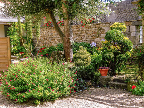 Hus/ Residens|Manoir des Halles|Finistère|Plouescat