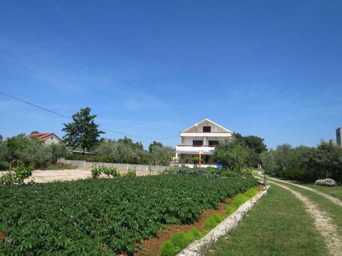 House/Residence|Ljiljana|North Dalmatia|Vir