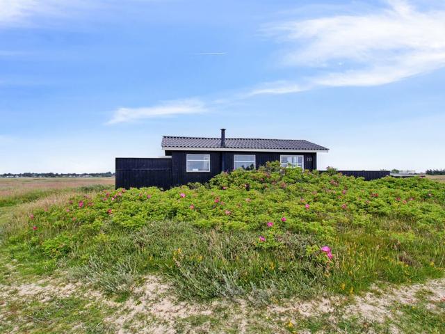 Huis/residentie|"Inka" - 100m from the sea|De westkust van Jutland|Blåvand