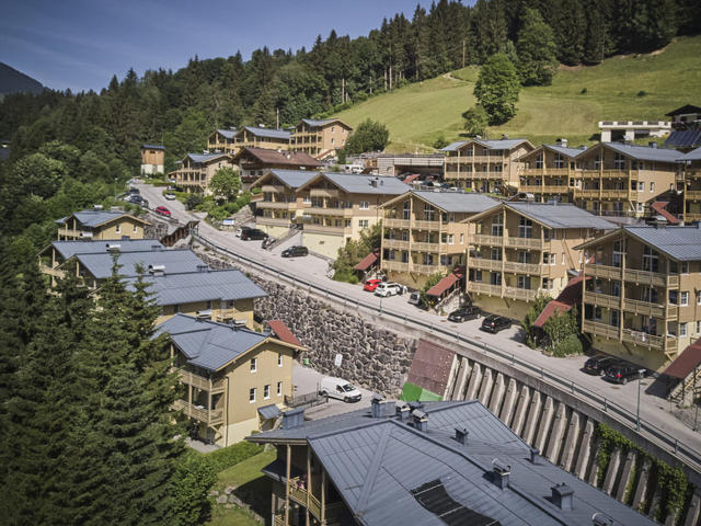 La struttura|Alpine Rehrenberg 1|Pinzgau|Viehhofen