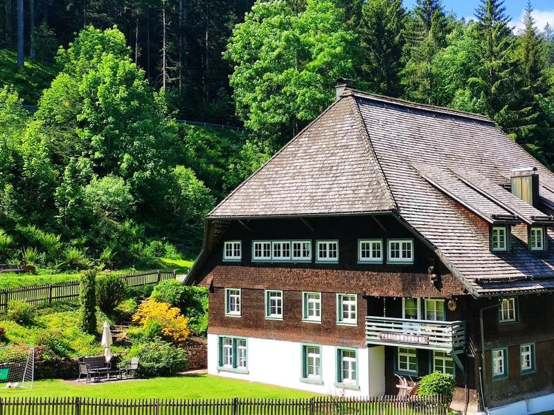 House/Residence|Historische Sägemühle|Black Forest|Furtwangen