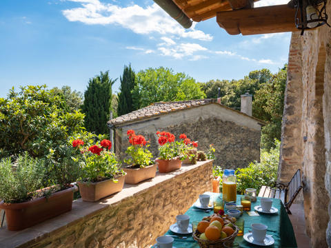 La struttura|Sissi|Toscana Chianti|San Gimignano