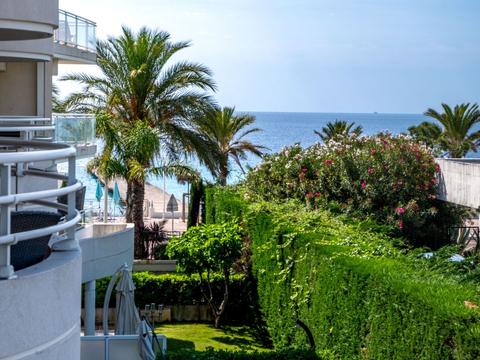 House/Residence|Royal Palm|Cote d'Azur|Cannes