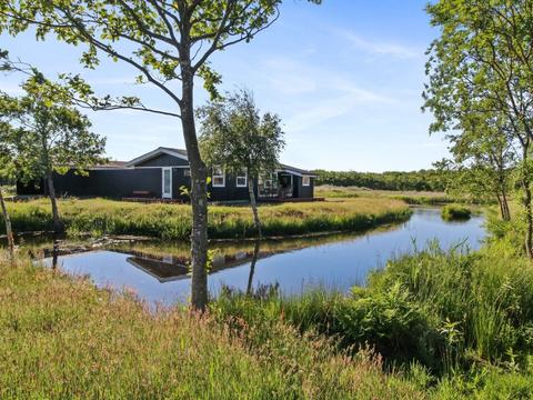 Talo/taloryhmä|"Allis" - 400m from the sea|Jyllannin länsirannikko|Fanø