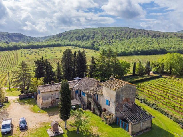 Talo/taloryhmä|Fattoria Petraglia - Cedro|Toscana Siena|Monteriggioni