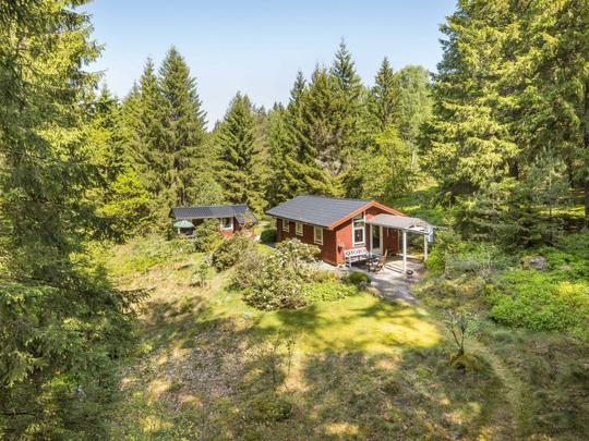 Vakantiehuis Dammeberg, Zweden, Halland, Karl Gustav, Buiten