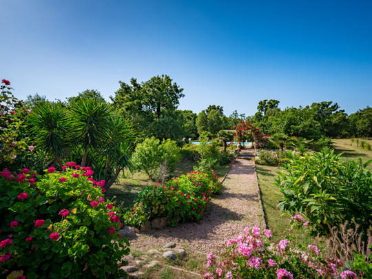 Vakantiehuis Gelormini, Frankrijk, Corsica, Ghisonaccia, Buiten