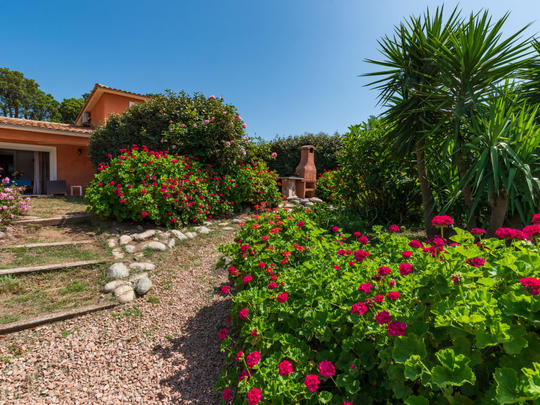 Vakantiehuis Gelormini, Frankrijk, Corsica, Ghisonaccia, Huis/residentie