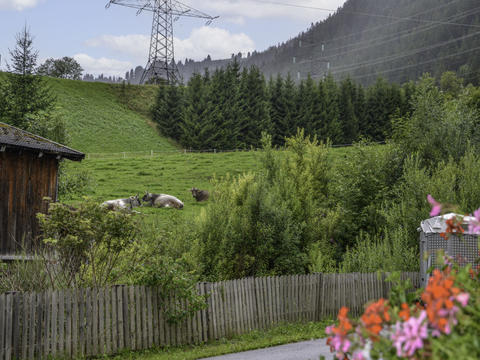 Dom/Rezydencja|Schöngraben|Arlberg|Sankt Anton am Arlberg