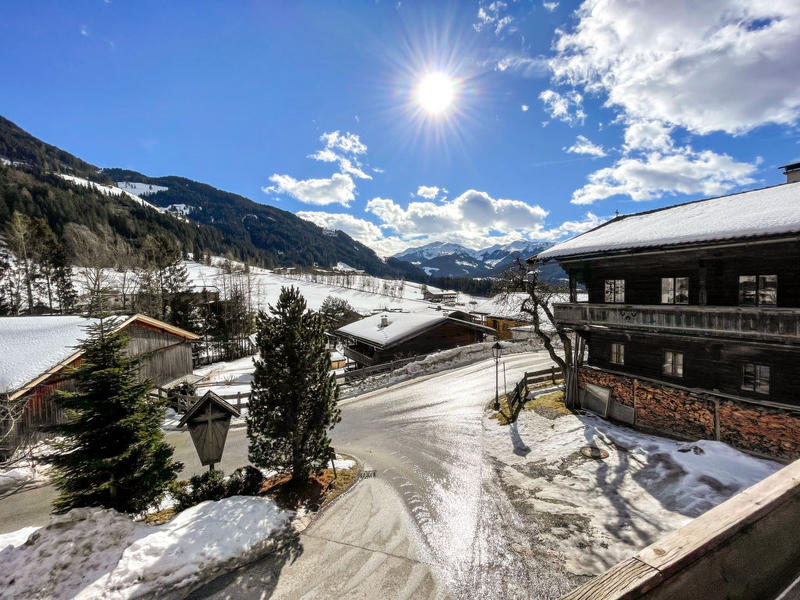 Maison / Résidence de vacances|Jaggler (WIL388)|Tyrol|Wildschönau