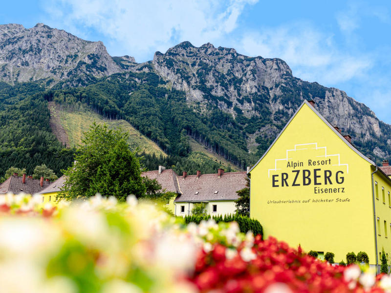 House/Residence|Erzberg mit Stockbett|Styria|Eisenerz