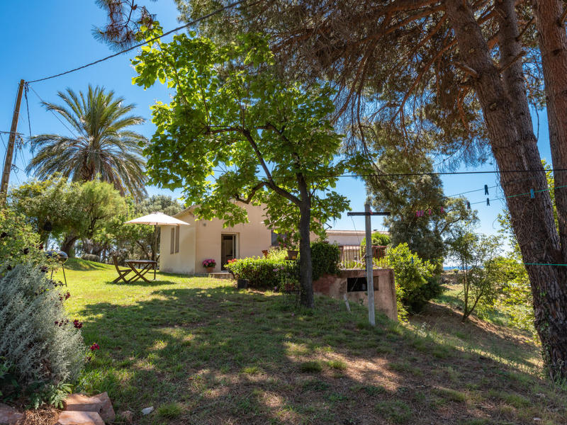 Casa / Residência|Rutili - Josée (CTN255)|Corse|Cervione/Castagniccia