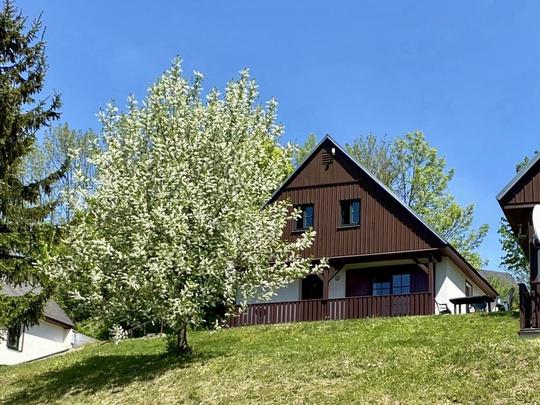 Casa Holiday Hill 32, Repubblica Ceca, Monti dei Giganti, Černý Důl/Čistá, Casa