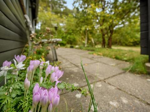 Wnętrze|"Amala" - 2.5km from the sea|Zachodnie wybrzeże Jutlandii|Rømø