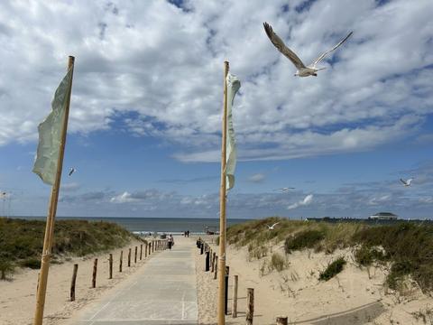 House/Residence|Alk 6|Zuid-Holland|Noordwijk