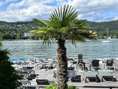 Haus/Residenz|Seecorso|Kärnten|Velden am Wörthersee