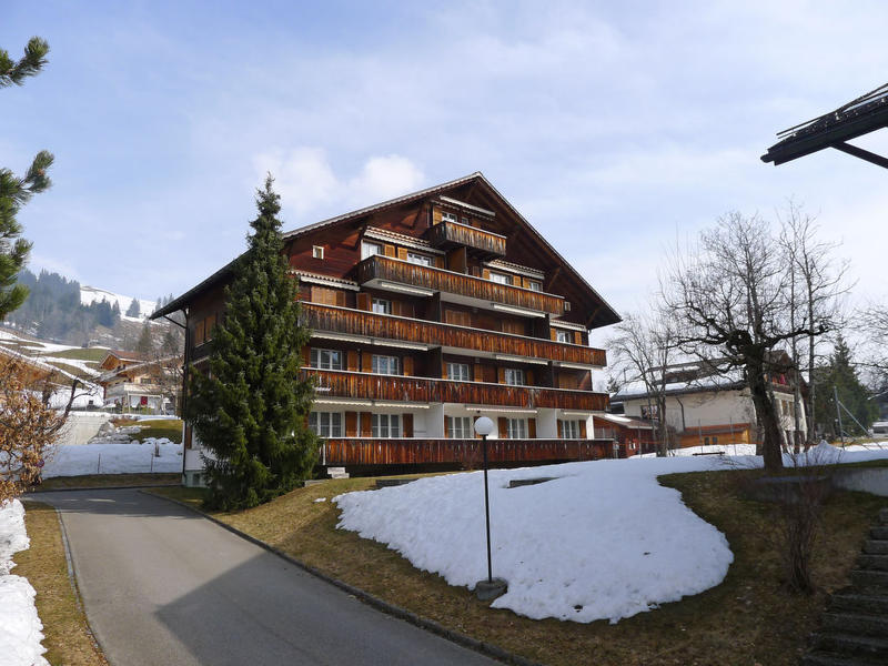 Haus/Residenz|Arlette Nr. 34|Berner Oberland|Schönried