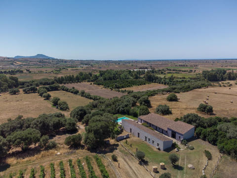 La struttura|Oliviola|Sardegna|Valledoria