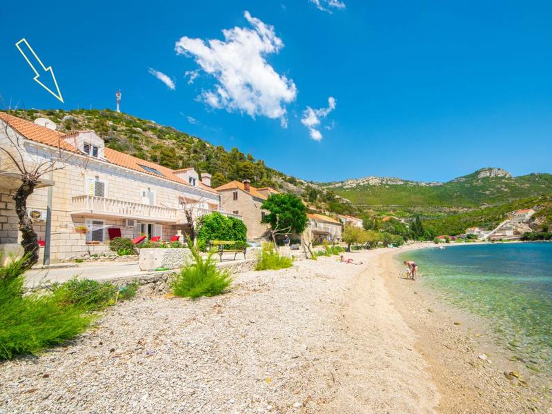 Maison / Résidence de vacances|Jelka|Dalmatie du sud|Trstenik