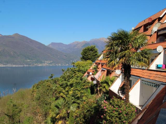 La struttura|Il Gaggio|Lago Maggiore|Luino