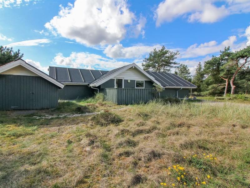 Hus/ Residence|"Bolke" - 3.5km from the sea in Western Jutland|Jyllands västkust|Blåvand