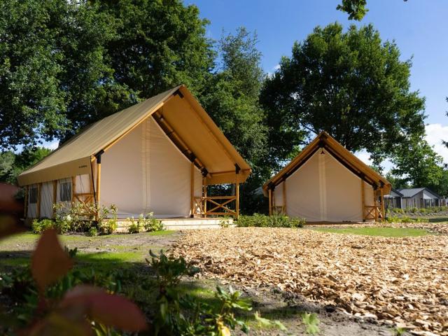 House/Residence|Glampingtent Kiezel Lodge 4|Interior|Mol