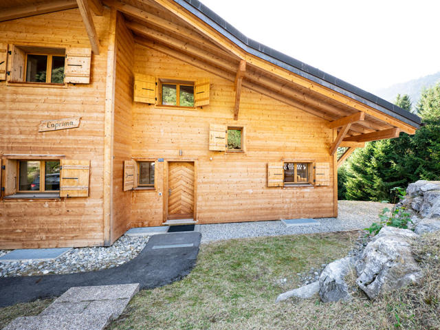 House/Residence|Dipankar|Alpes Vaudoises|Villars