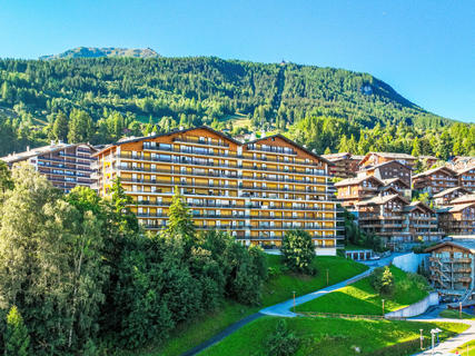 Appartement Christiania 2 F7, Zwitserland, Wallis, Nendaz, Huis
