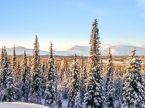 House/Residence|Pallaksen valkkorinne|Lapland|Enontekiö