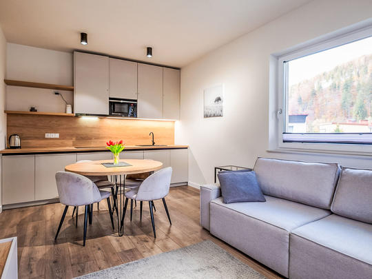 Apartamenty River Park, Polska, Beskidy, Wisła, Salon