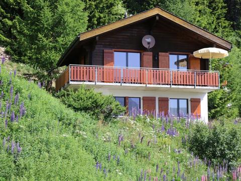 Huis/residentie|Brunnquell|Wallis|Bettmeralp