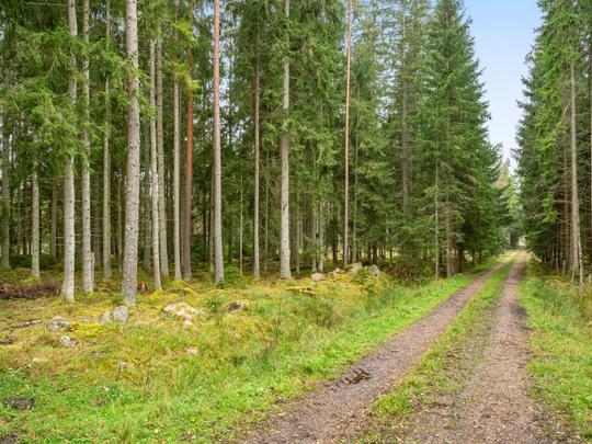 Casa Källehult, Svezia, Småland, Tingsryd, La struttura