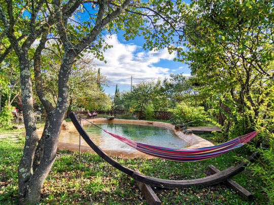 Vakantiehuis La Coulée Douce, Frankrijk, Provence, Lorgues, Buitenzwembad