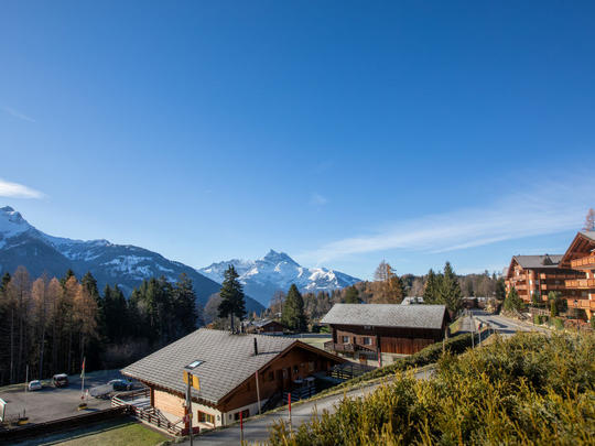 Appartement Le Schuss 1, Zwitserland, Alpen Vaudoises, Gryon, Uitzicht
