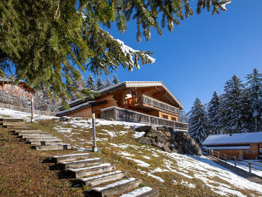 Vakantiehuis Chalet Casablanca, Zwitserland, Alpen Vaudoises, Gryon, Huis