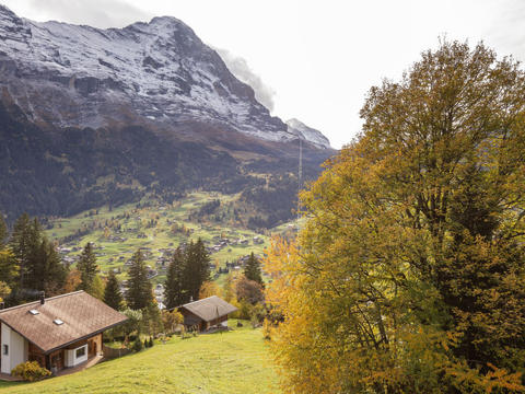 Dom/Rezydencja|Chalet uf Duft|Oberland Berneński|Grindelwald