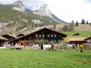 Haus/Residenz|Ferienwohnung Haltenboden|Berner Oberland|Boltigen