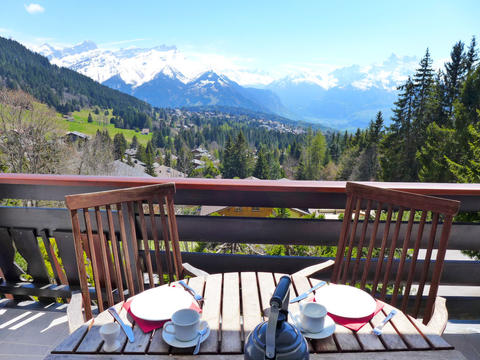 Haus/Residenz|Savoie 1|Waadtländer Alpen|Villars