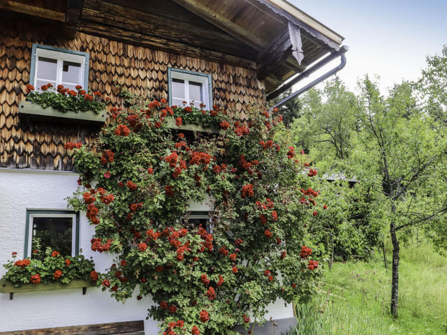 Hus/ Residence|Oberhaslach|Salzburg|Abtenau