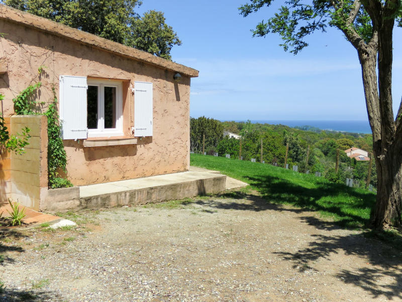 Dentro|Rutili (CTN260)|Corse|Cervione/Castagniccia