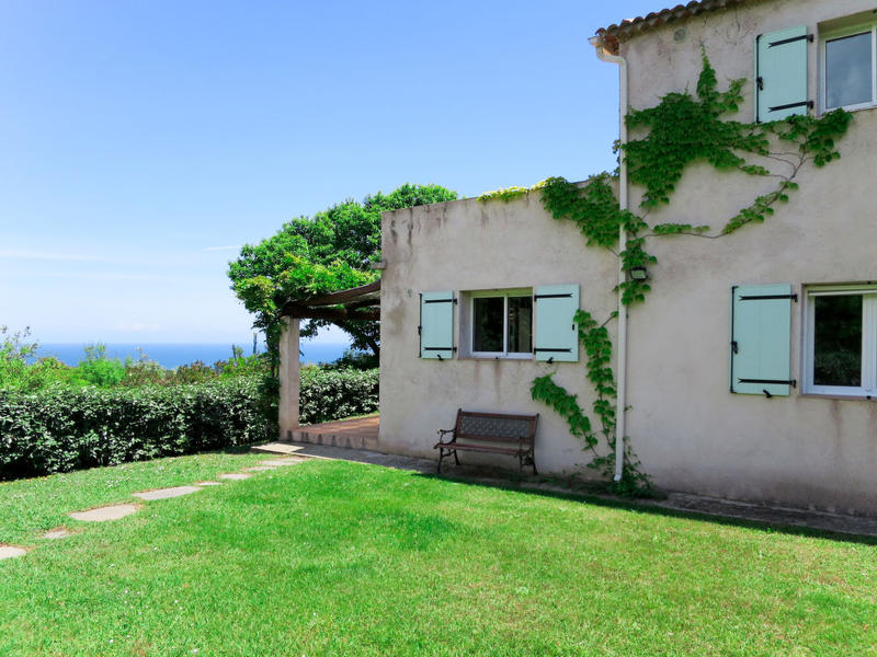 L'abitazione|Christian I (CTN266)|Corsica|Cervione/Castagniccia
