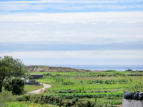 Hus/ Residens|Mar|Norte-Porto|Esposende