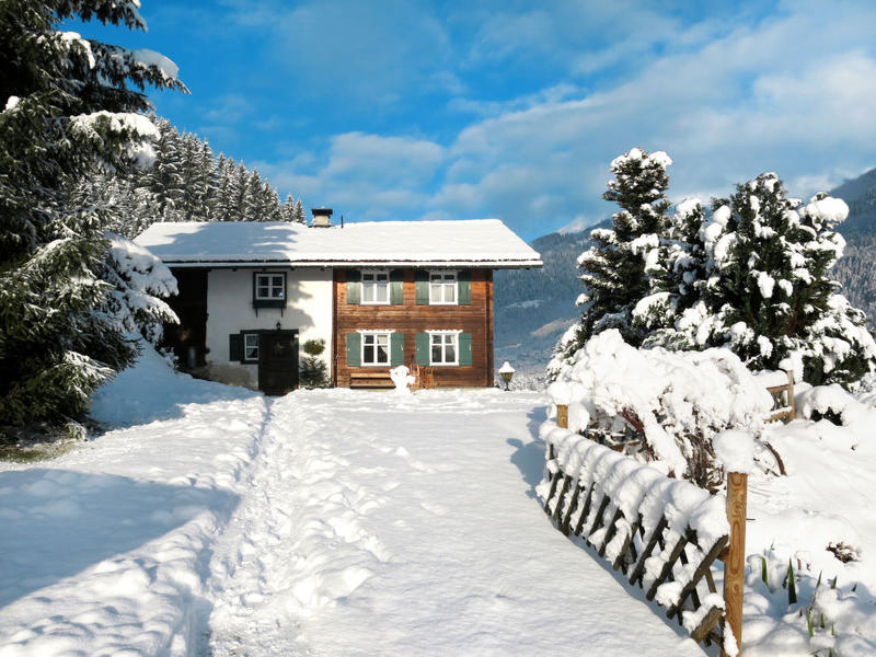 Maison / Résidence de vacances|Fitsch (GOP320)|Montafon|Gortipohl