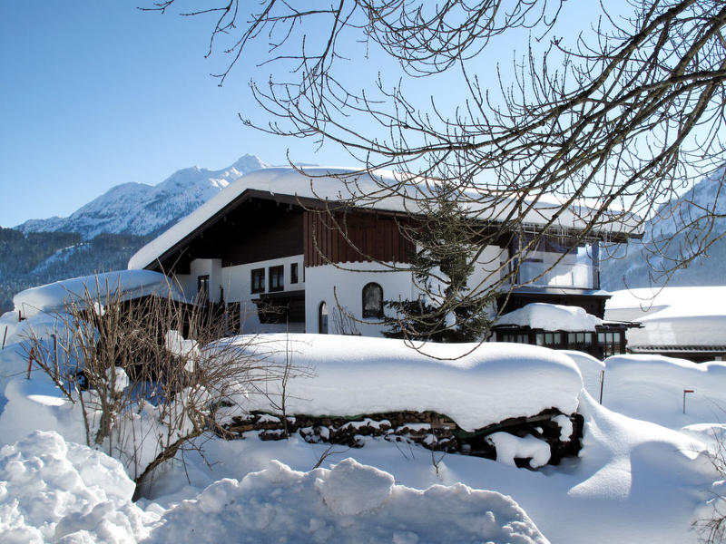 Maison / Résidence de vacances|Helga (FIB200)|Tyrol|Fieberbrunn
